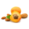noyau abricot